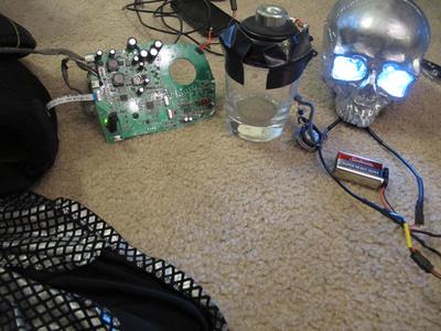 The speaker system inside the skulls (The glass helps amplify the sound.)