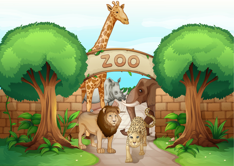 Image result for going to the zoo
