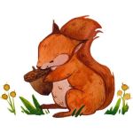 squirrel
