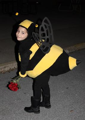 Carrington the Bee!