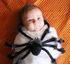 Itsy Bitsy Spider Hug