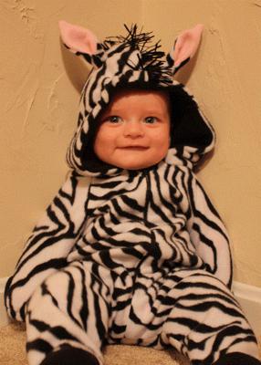 Jacob the Zebra!